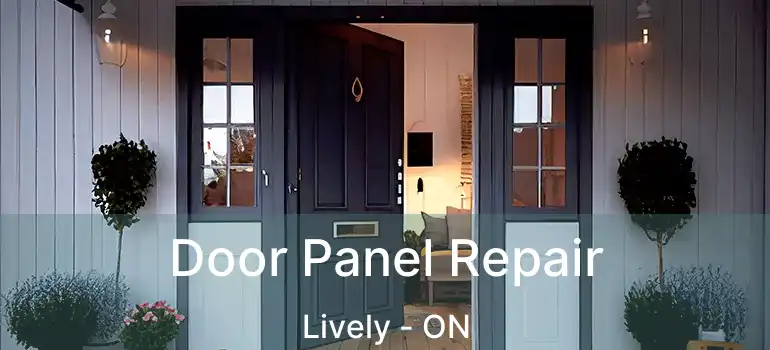  Door Panel Repair Lively - ON
