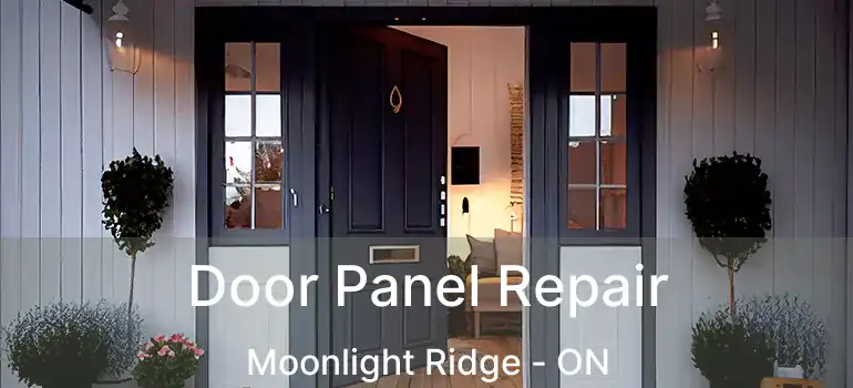  Door Panel Repair Moonlight Ridge - ON
