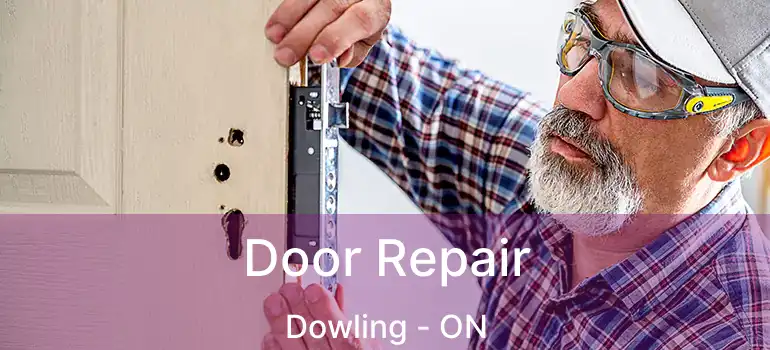  Door Repair Dowling - ON