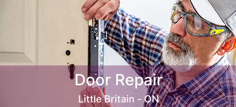  Door Repair Little Britain - ON