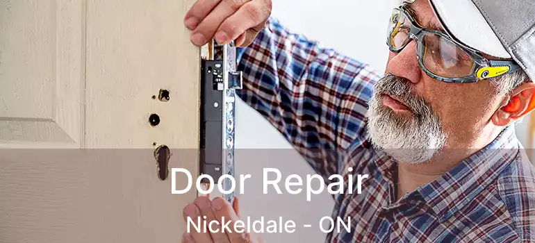  Door Repair Nickeldale - ON