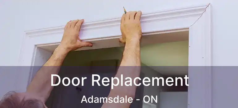 Door Replacement Adamsdale - ON