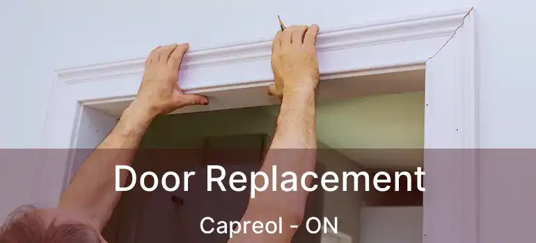  Door Replacement Capreol - ON