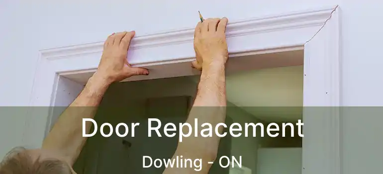  Door Replacement Dowling - ON