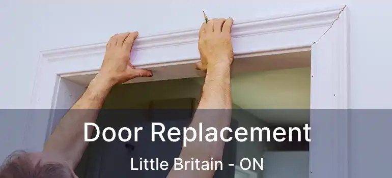  Door Replacement Little Britain - ON