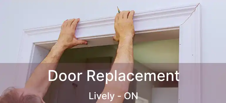  Door Replacement Lively - ON