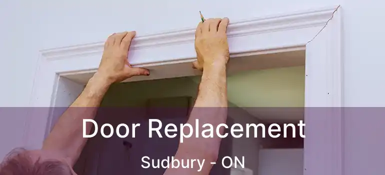  Door Replacement Sudbury - ON