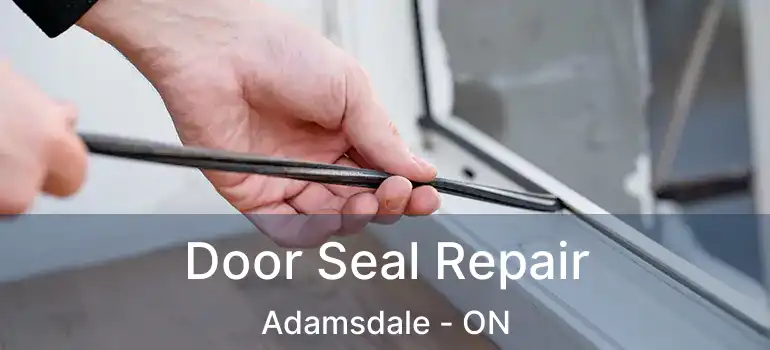  Door Seal Repair Adamsdale - ON