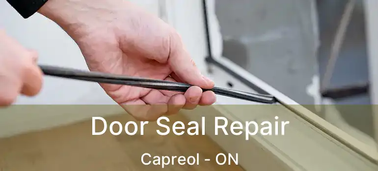  Door Seal Repair Capreol - ON