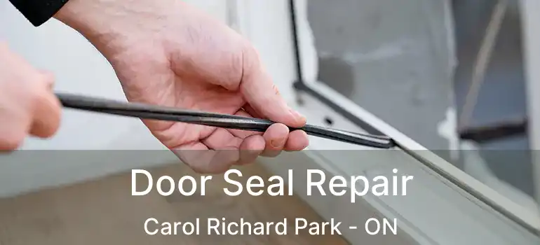  Door Seal Repair Carol Richard Park - ON