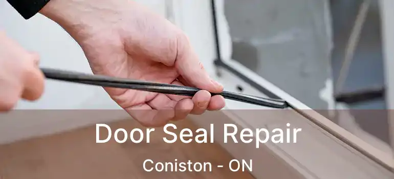  Door Seal Repair Coniston - ON