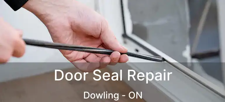  Door Seal Repair Dowling - ON