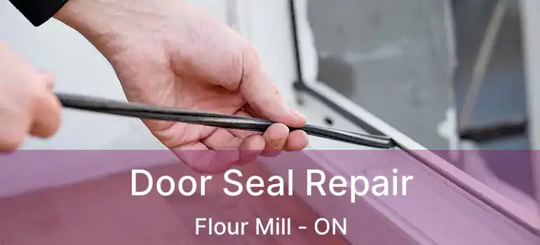  Door Seal Repair Flour Mill - ON