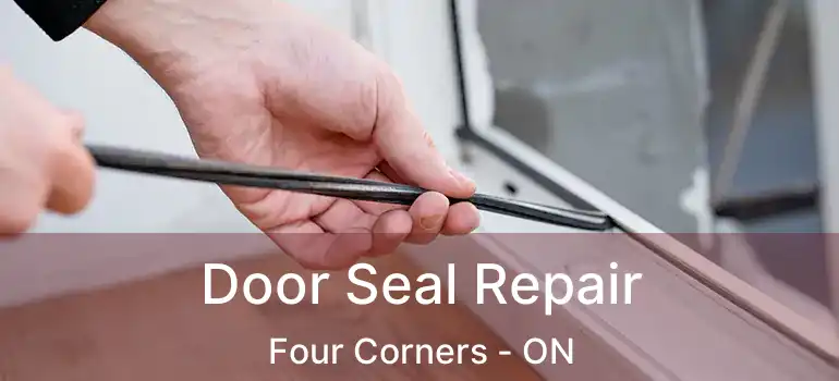  Door Seal Repair Four Corners - ON