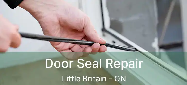  Door Seal Repair Little Britain - ON