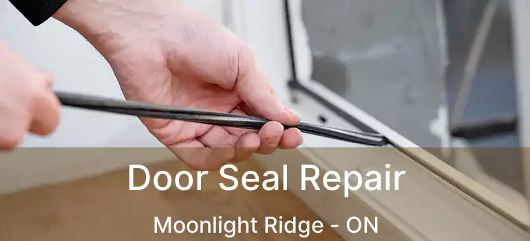  Door Seal Repair Moonlight Ridge - ON