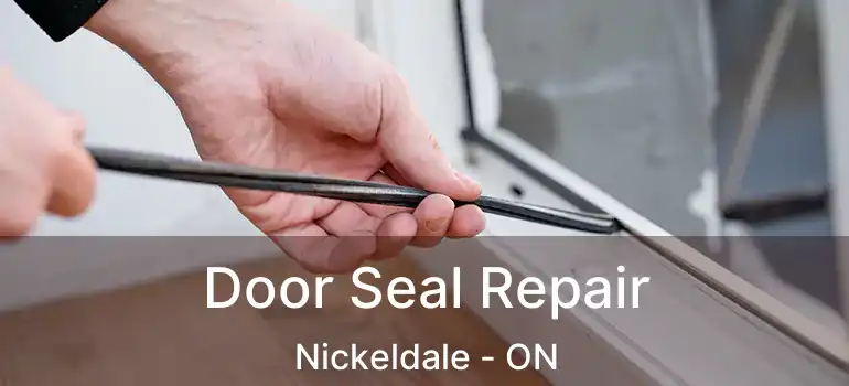  Door Seal Repair Nickeldale - ON