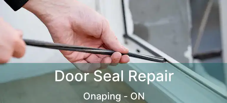  Door Seal Repair Onaping - ON