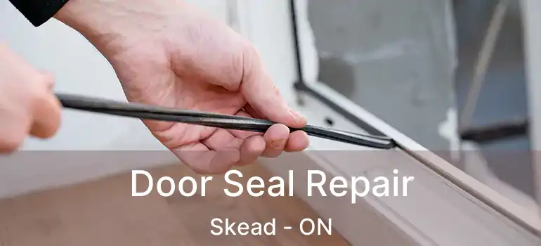  Door Seal Repair Skead - ON