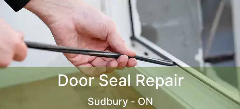  Door Seal Repair Sudbury - ON