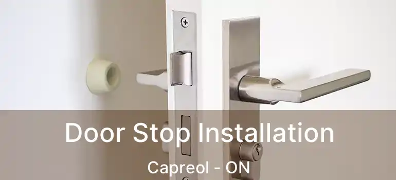  Door Stop Installation Capreol - ON
