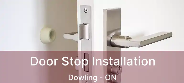  Door Stop Installation Dowling - ON