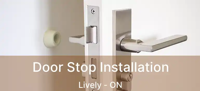  Door Stop Installation Lively - ON