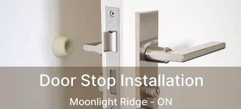  Door Stop Installation Moonlight Ridge - ON