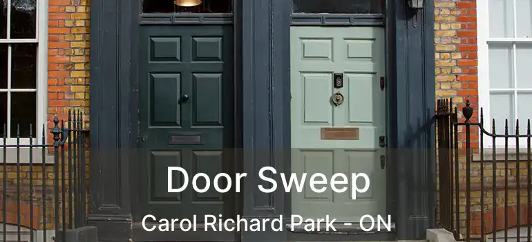  Door Sweep Carol Richard Park - ON