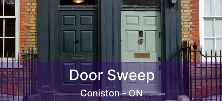  Door Sweep Coniston - ON