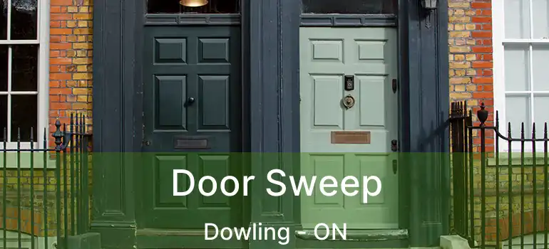  Door Sweep Dowling - ON