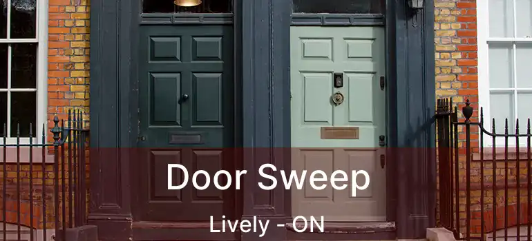  Door Sweep Lively - ON