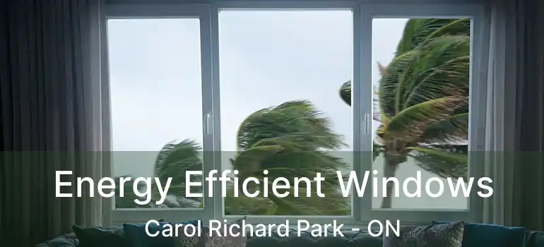  Energy Efficient Windows Carol Richard Park - ON