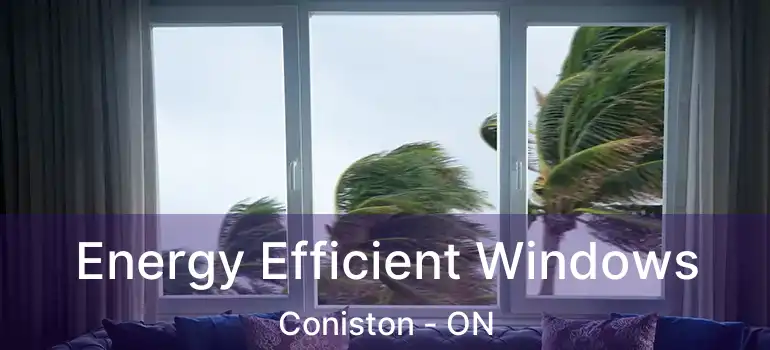  Energy Efficient Windows Coniston - ON