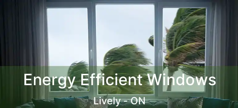  Energy Efficient Windows Lively - ON
