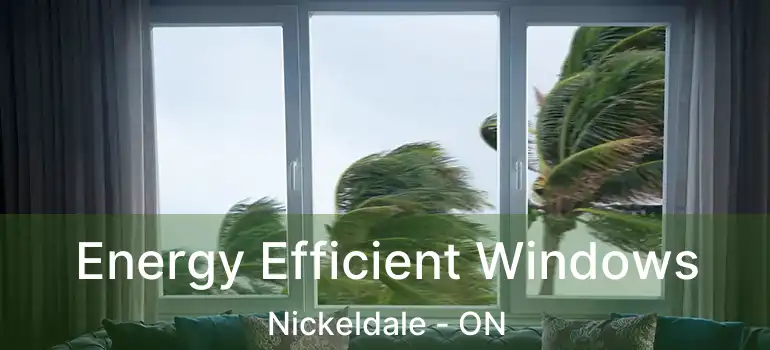  Energy Efficient Windows Nickeldale - ON