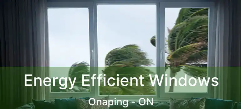  Energy Efficient Windows Onaping - ON
