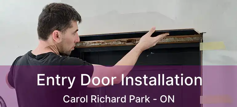  Entry Door Installation Carol Richard Park - ON