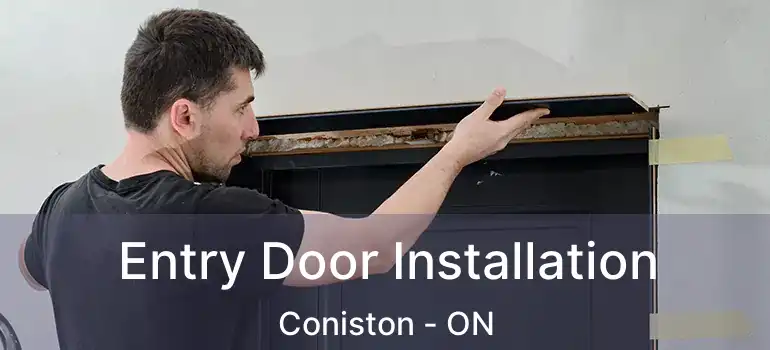  Entry Door Installation Coniston - ON