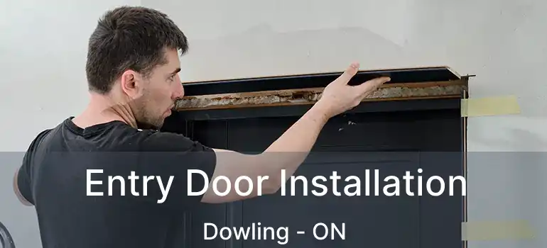  Entry Door Installation Dowling - ON