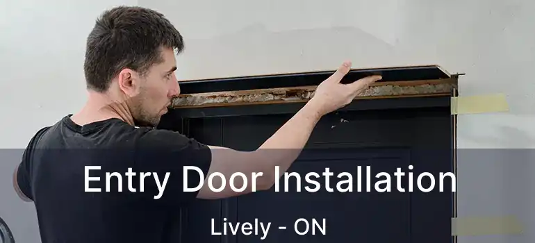  Entry Door Installation Lively - ON