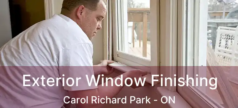  Exterior Window Finishing Carol Richard Park - ON