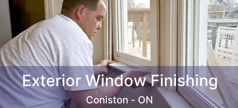  Exterior Window Finishing Coniston - ON