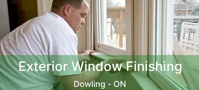  Exterior Window Finishing Dowling - ON