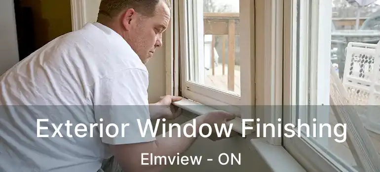  Exterior Window Finishing Elmview - ON