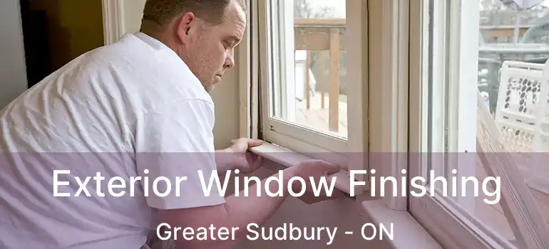  Exterior Window Finishing Greater Sudbury - ON