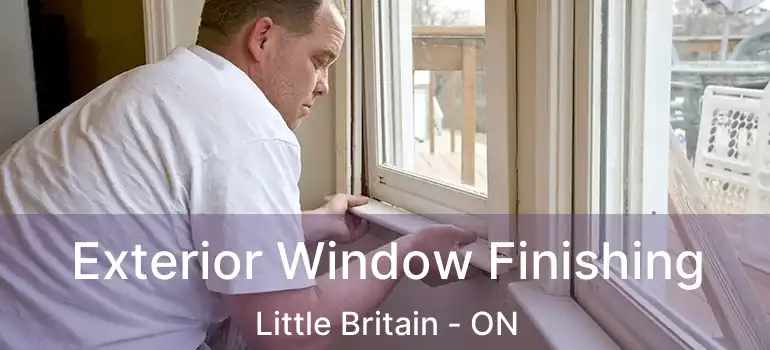  Exterior Window Finishing Little Britain - ON