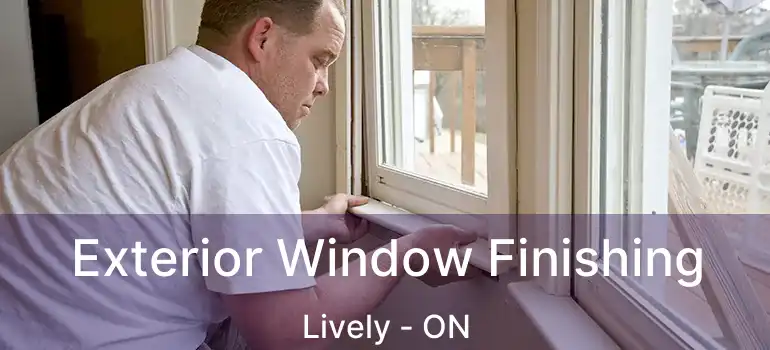  Exterior Window Finishing Lively - ON