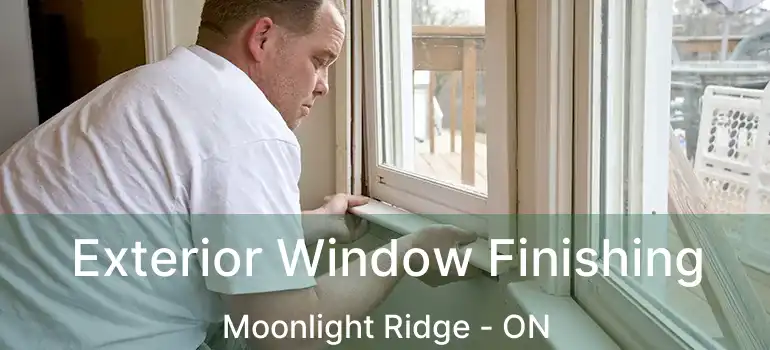  Exterior Window Finishing Moonlight Ridge - ON