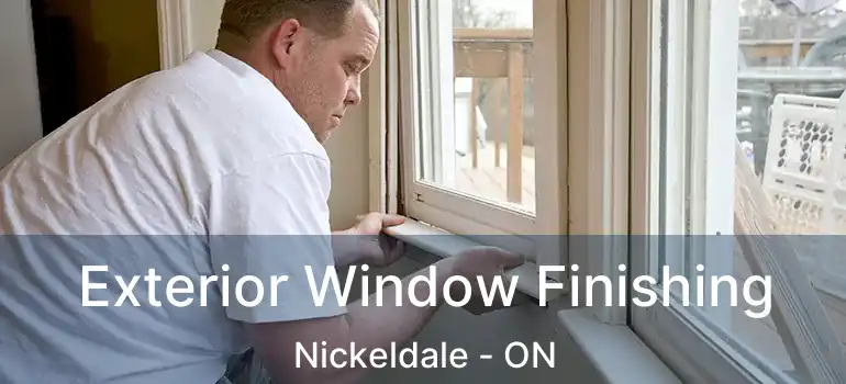  Exterior Window Finishing Nickeldale - ON